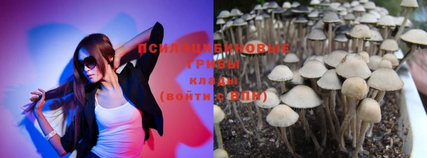apvp Верея
