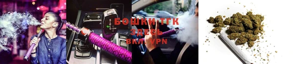 apvp Верея