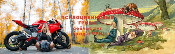 apvp Верея